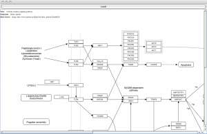 Viewing a pathway via the PathVisio classes